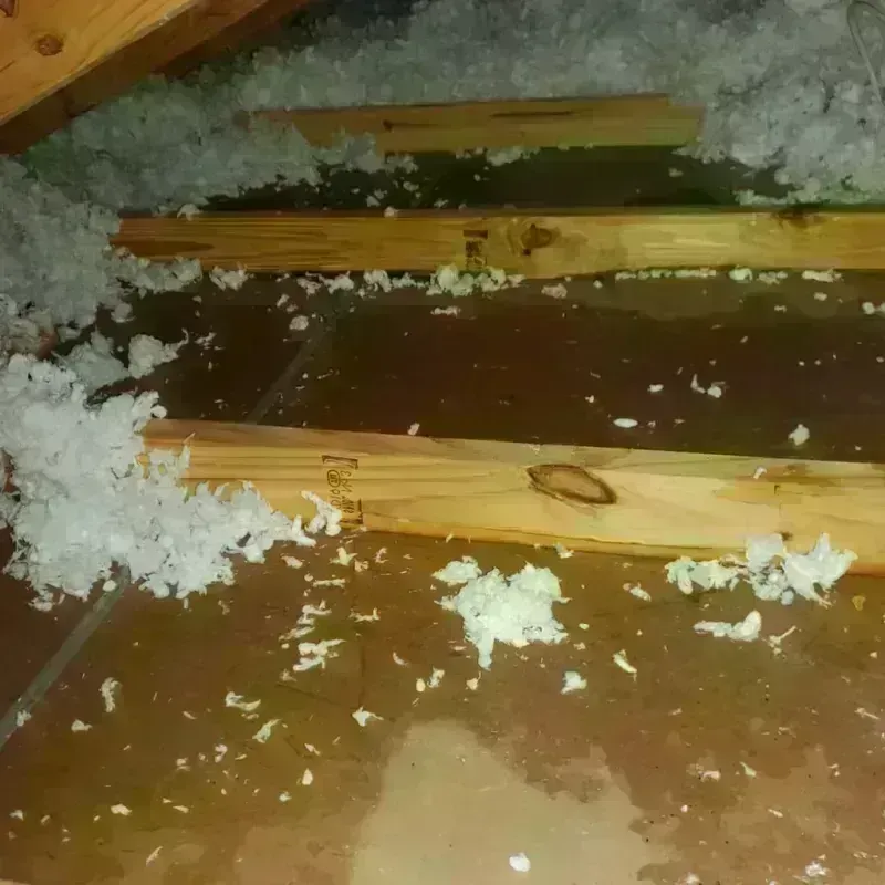 Attic Water Damage in McDonald, PA